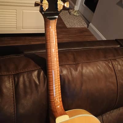 Gibson Byrdland 1976 - Natural image 3