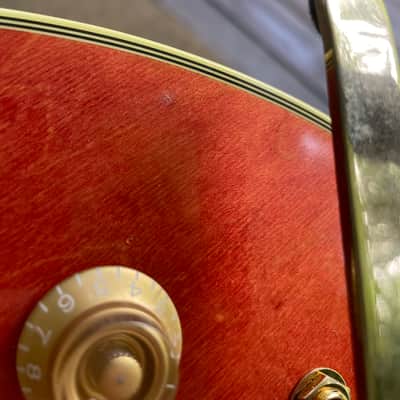 Josh Williams Guitars Hollowbird 2024 - Watermelon image 9