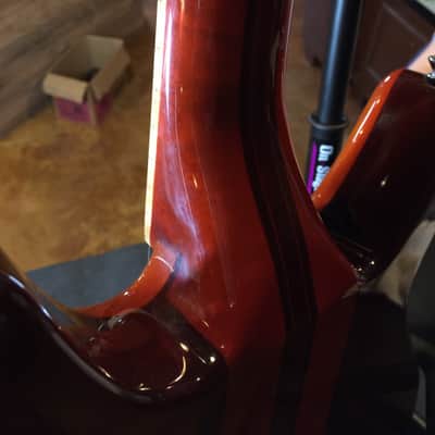 Washburn Custom Shop image 10