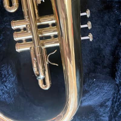 Marching French horn, Dynasty brand image 8