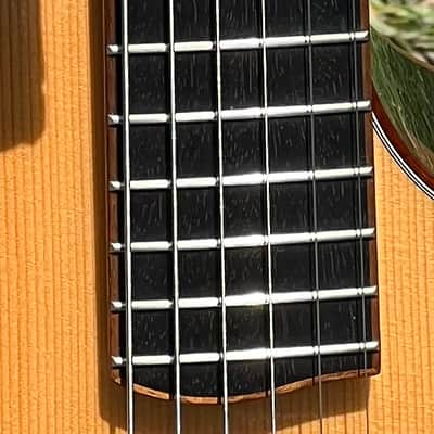 McPherson MG-3.5XP Acoustic/Electric Guitar W/OHSC Striped Macassar Ebony/Spuce image 4