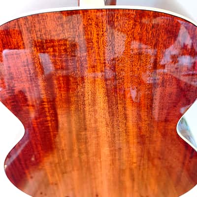 Eastman AC330E-12 - Natural image 10