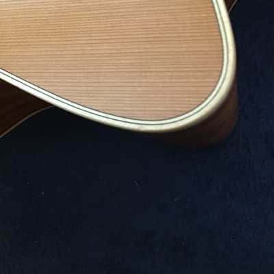Lakewood Natural Series M-14 CP image 6