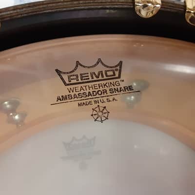 Premier 75th Anniversary Signia 14x5.5" 10-Lug Maple Snare Drum with Wood Hoops, Gold Hardware 1997 - Ebony image 16