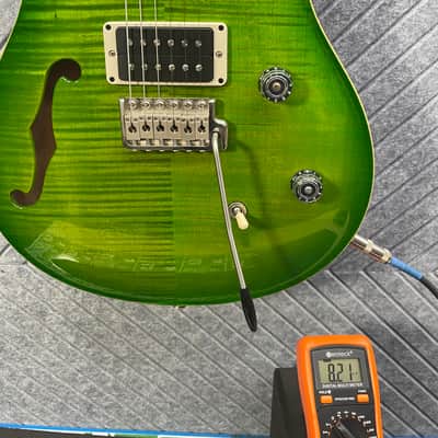 PRS CE24 SkunkWerx Collector Grade Eriza Verde Maple image 17