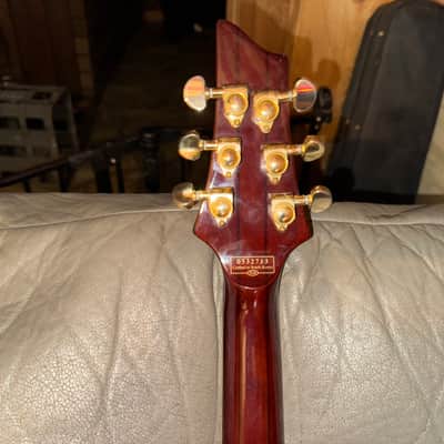2005 Schecter C-1 Classic,Vine of Life, Antique Amber, Upgraded DiMarzio Evolutions image 4