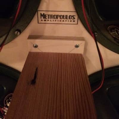 Metropoulos 100B True Replica 4x12 Loaded with Austin Speaker Works Crossroads image 4