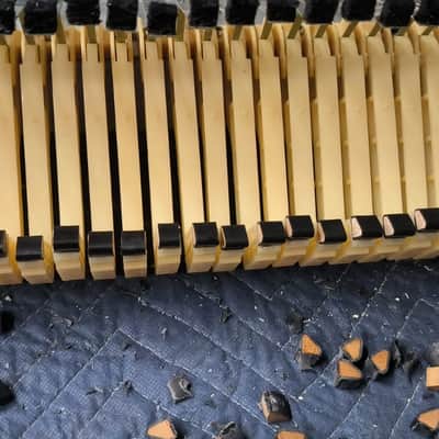 Rhodes Mark II Stage 88-Key Electric Piano 1979 - 1983 - Black Flat Top image 12
