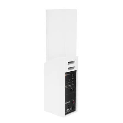 Wersi VOCALIS 120 - Keyboard Amp image 3