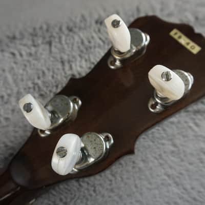 Pirles FB-40 5-String Closed Back Banjo Japan image 22