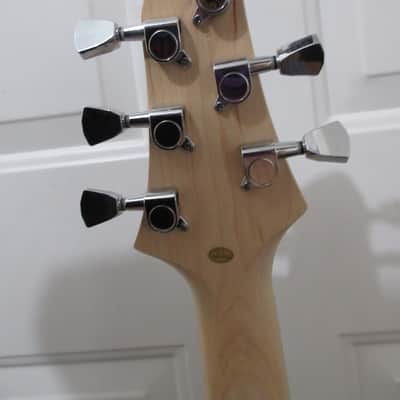 ~Cashified~ Les Paul Classic Style Guitar with Gig-Bag image 7