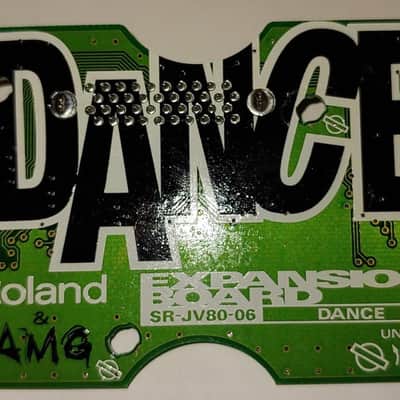 Roland SR-JV80-06 DANCE エクスパンションボード Roland SR-JV80-06 Dance Expansion Board | Reverb