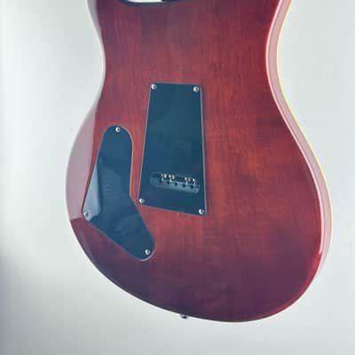 PRS SE Custom 22 Semi-Hollow Tortoise Shell 2019 Europe Exclusive LTD with bag image 11