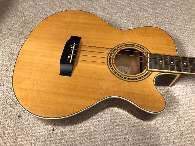 Takamine Jasmine ES-50c Acoustic/Electric Bass & Gigbag image 1