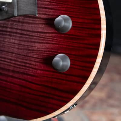 Taylor T5z Pro Hollow Body Electric Guitar - Grapevine with Hardshell Case - Factory Demo image 11