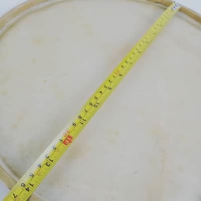 Leedy/Ludwig 14"Calf Skin Snare/Floor Tom Drum Head Batter Vintage 40s USA Clean image 5