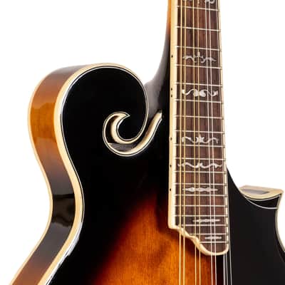 Gold Tone GM-35: F-Style Mandolin with Case image 6