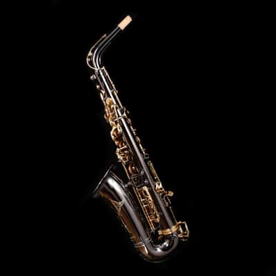 Selmer ''La Voix II'' SAS411B Alto Saxophone, Black Lacquer - NEW MODEL! image 10