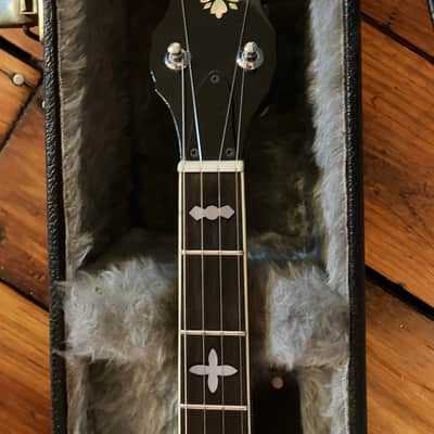 Washburn 1981 B-14 5-String Resonator Banjo B14 image 3