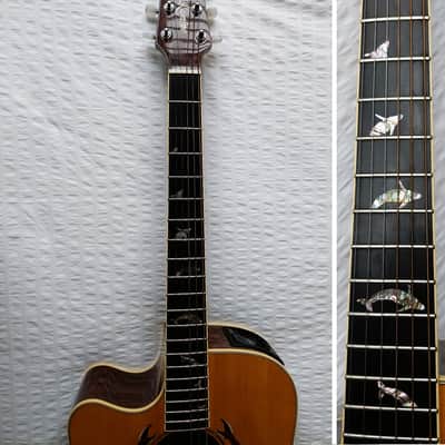 Lefty Left Handed Takamine LTD Whales Limited Edition 2002 Natural - Ultra Rare Save the Whales image 7