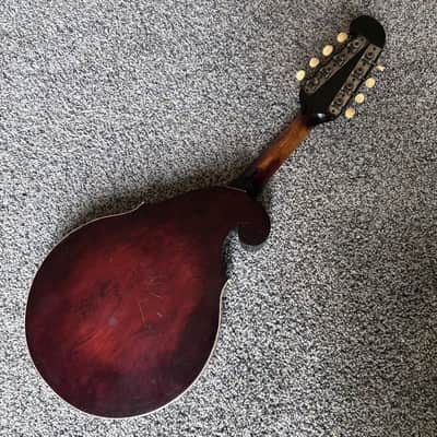 Vintage 1920’s Regal Acoustic Mandolin & Case Reverse Scroll image 5