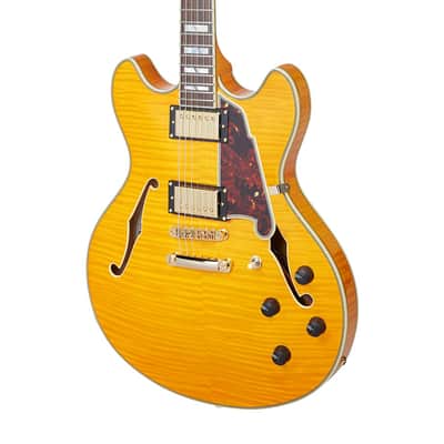 D'Angelico DAEDCVNATGS EXCEL DC Double Cutaway Semi-Hollow Body 6-String Electric Guitar w/Deluxe Hardshell Case image 4