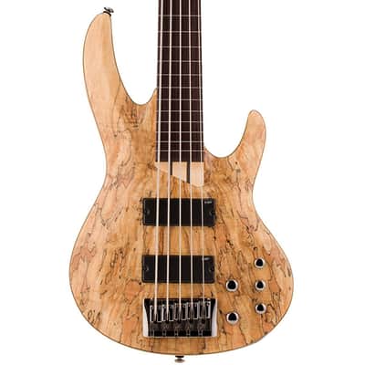 ESP B-205SM Fretless 5 String Electric Bass - Natural Satin image 1