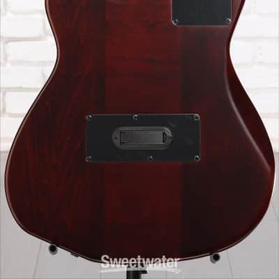 Godin ACS-SA Slim  Nylon String Acoustic-Electric Guitar - Natural Semi-Gloss (ACSSASlimNatd1) image 7