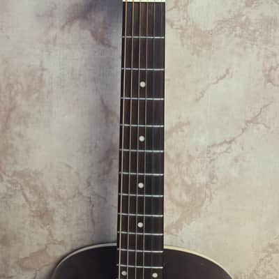 Epiphone EL-00 Pro Ltd Ed V/S image 2