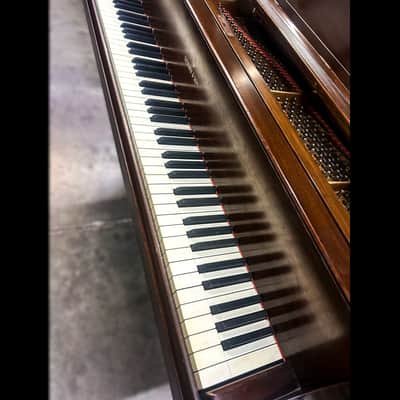 Steinway & Sons Model M Grand Piano – Golden Age image 6