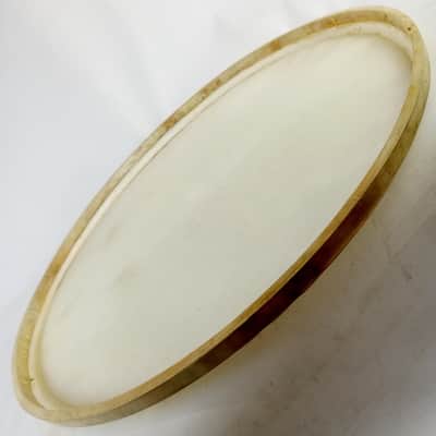 Ludwig 22" Calf Skin Whitecalf Batter/Resonant Bass Drum Head Vintage 40s USA image 4