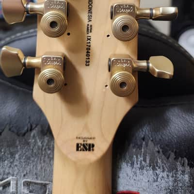 ESP LTD WA-200 Warbird Distressed Will Adler Signature 2015 - 2018 - Warbird Distressed Graphic image 3