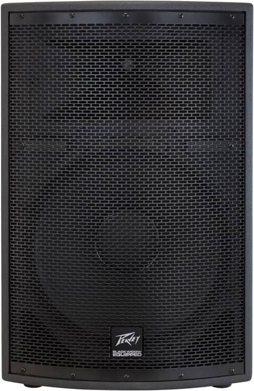 Peavey SP 2 1000-Watt 2-Way PA Speaker image 1