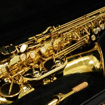 【Special price】 Yanagisawa A-WO10 [AW010] Professional Alto Saxophone image 15