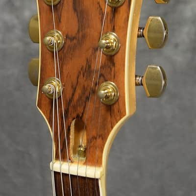 Fernandes/Burny MG-85X Hide X Japan Signature Model Cherry Sunburst image 4