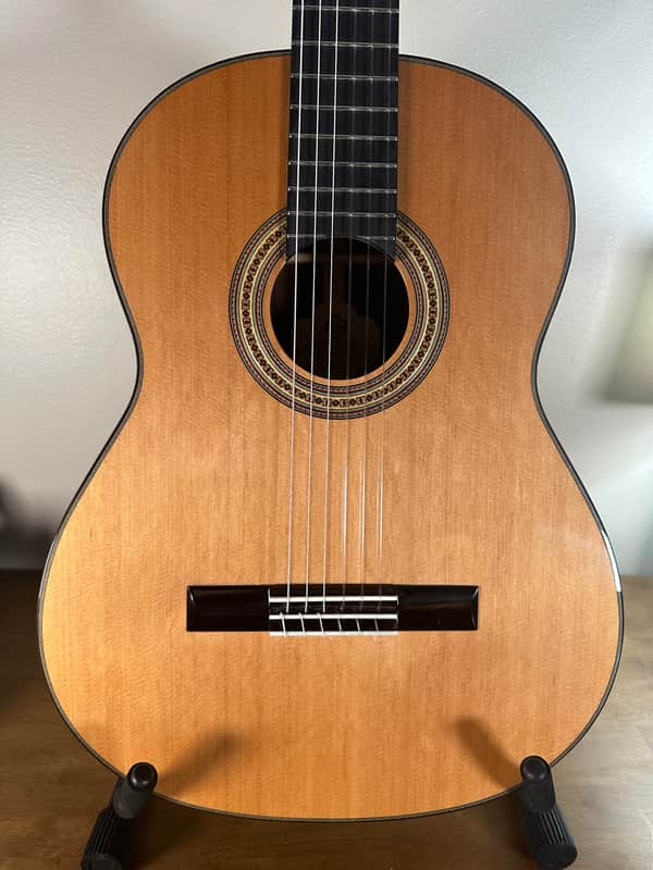 SAERS S9 lattice classical guitar Ziricote image 1