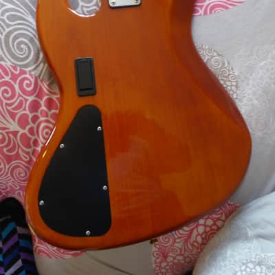 Alleva-Coppolo 1600 Limited Edition Bass 2007 image 4