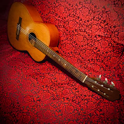 Vintage 1965 Giannini Model 6 image 12