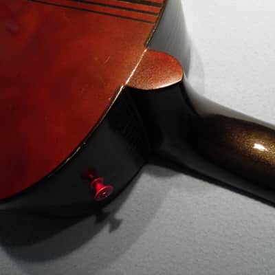 Custom Shop Guitar (Dale Earnhardt Sr.) image 11