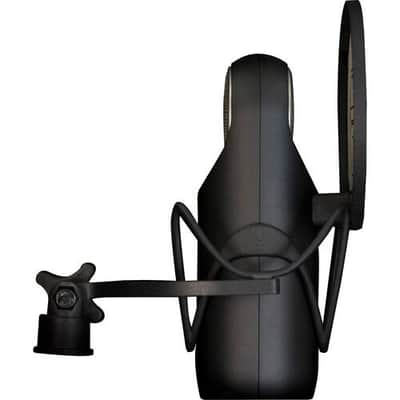 Aston Microphones Condenser Microphone (Element Bundle) - (B-Stock) image 3
