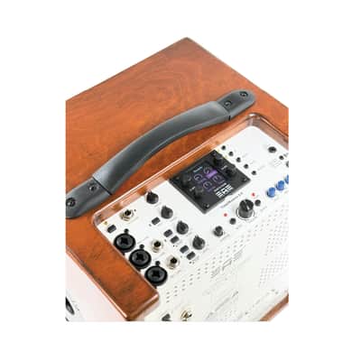 Elite Acoustics EAE ToneWeaver 4-8 Rechargeable 120 Watt 8” Acoustic Amp with 4 Channel Digital Mixer/LFP Battery/Bluetooth - Wood image 13