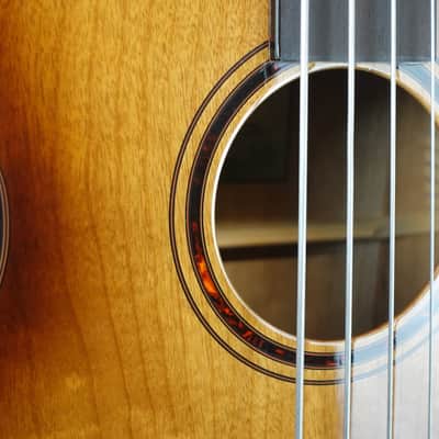 Breedlove Pursuit Exotic S Concerto Amber Fretless Bass CE Myrtlewood - (Used) image 7