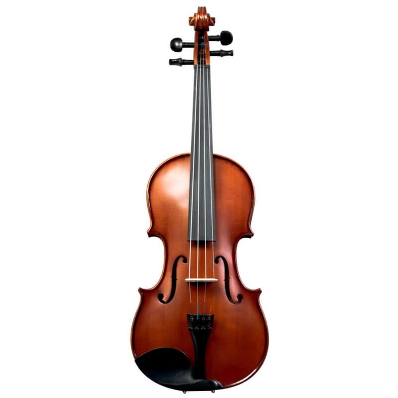 Palatino VN-650-3/4 Violin Outfit image 1