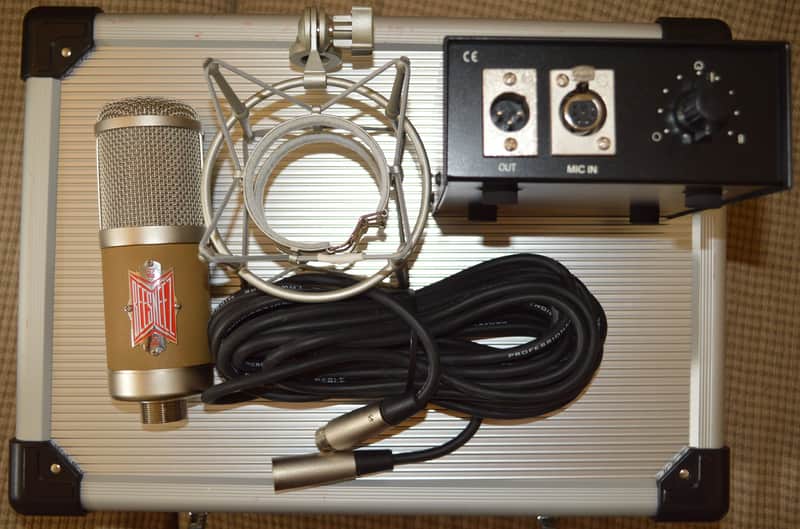 BeesNeez Microphones Phelicity image 1