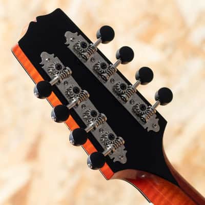 Quint Archtop Octave Mandolin Maple Short Scale Cutaway CS image 9