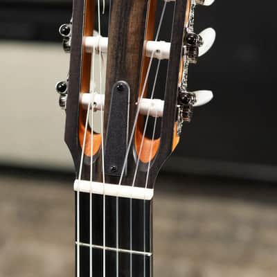 Taylor 214ce-N Nylon Grand Auditorium Acoustic/Electric Guitar with Gig Bag image 6