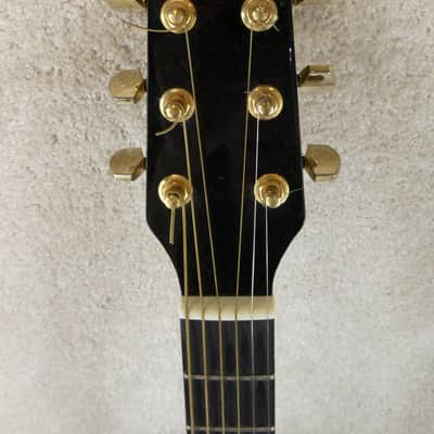 Washburn D100 CEB Blk w/HSC image 3