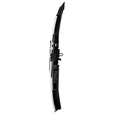 Roland Aerophone Pro AE-30 Digital Wind Instrument image 3