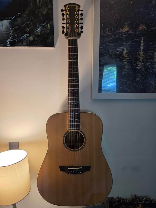 Orangewood ECHO live 12-string 2020-2024 - Gloss image 1