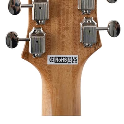 Rivolta Combinata Classico P90 Electric Guitar-Gold Top image 5